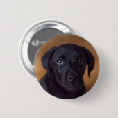 Niedliche Kleintiere | Black Labrador Puppy Button (Vorne & Hinten)