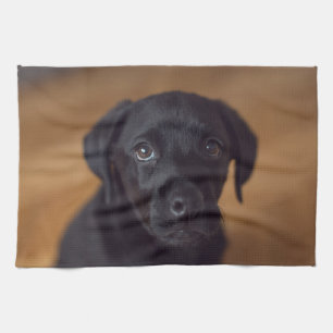 Niedliche Kleintiere Black Labrador Puppy Geschirrtuch