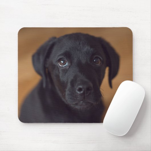 Niedliche Kleintiere | Black Labrador Puppy Mousepad (Mit Mouse)