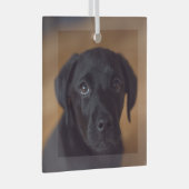 Niedliche Kleintiere | Black Labrador Puppy Ornament Aus Glas (Vorderseite Rechts)