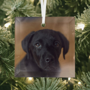 Niedliche Kleintiere Black Labrador Puppy Ornament Aus Glas