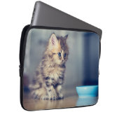 Niedliche Kleintiere | Blaues mit Augen Perserkätz Laptopschutzhülle (Vorne Rechts)