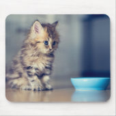 Niedliche Kleintiere | Blaues mit Augen Perserkätz Mousepad (Vorne)