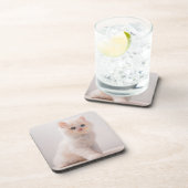 Niedliche Kleintiere | Blue Eye Kitten Getränkeuntersetzer (Rechte Seite)