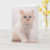 Niedliche Kleintiere | Blue Eye Kitten Karte (Gelbe Blume)