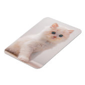 Niedliche Kleintiere | Blue Eye Kitten Magnet (Linke Seite)