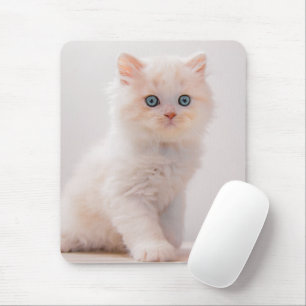 Niedliche Kleintiere Blue Eye Kitten Mousepad