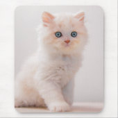 Niedliche Kleintiere | Blue Eye Kitten Mousepad (Vorne)