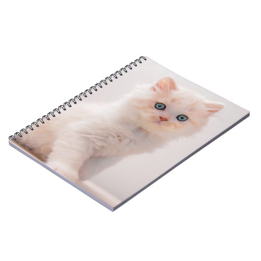 Niedliche Kleintiere | Blue Eye Kitten Notizblock (Linke Seite)