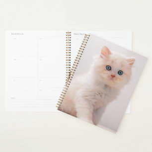Niedliche Kleintiere Blue Eye Kitten Planer