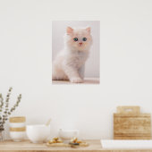 Niedliche Kleintiere | Blue Eye Kitten Poster (Küche)