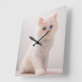Niedliche Kleintiere | Blue Eye Kitten Quadratische Wanduhr (Winkel)
