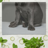 Niedliche Kleintiere | Blue French Bulldog Puppy Geschirrtuch (Gefaltet)