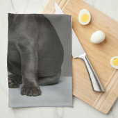 Niedliche Kleintiere | Blue French Bulldog Puppy Geschirrtuch (Viertel Falte)