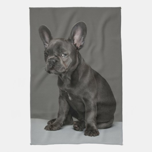 Niedliche Kleintiere | Blue French Bulldog Puppy Geschirrtuch (Vertikal)