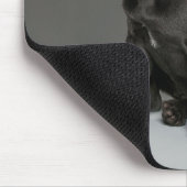 Niedliche Kleintiere | Blue French Bulldog Puppy Mousepad (Ecke)