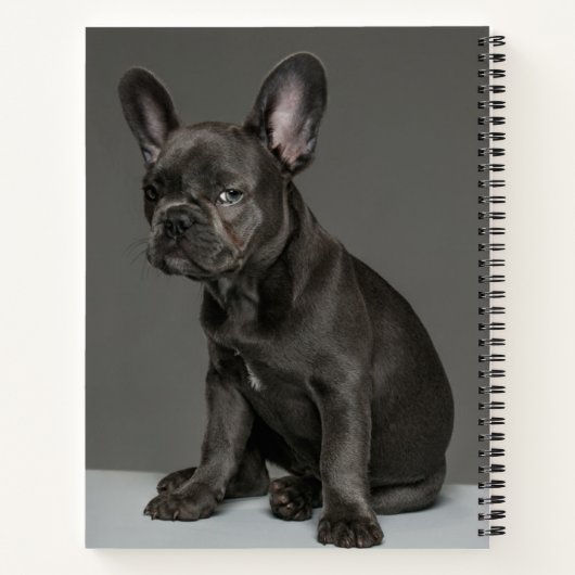 Niedliche Kleintiere | Blue French Bulldog Puppy Notizblock (Rückseite)