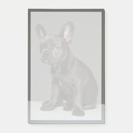Niedliche Kleintiere | Blue French Bulldog Puppy Post-it Klebezettel (Vorderseite)