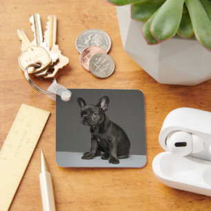 Niedliche Kleintiere Blue French Bulldog Puppy Schlüsselanhänger