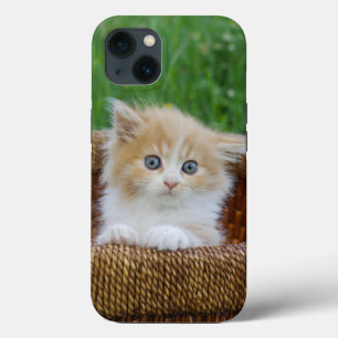 Niedliche Kleintiere   Blue Mit Augen Kitten Case-Mate iPhone Hülle