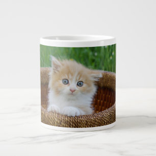 Niedliche Kleintiere Blue Mit Augen Kitten Jumbo-Tasse