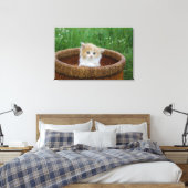 Niedliche Kleintiere | Blue Mit Augen Kitten Leinwanddruck (Insitu (Schlafzimmer))