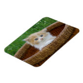 Niedliche Kleintiere | Blue Mit Augen Kitten Magnet (Linke Seite)