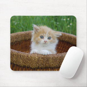 Niedliche Kleintiere   Blue Mit Augen Kitten Mousepad