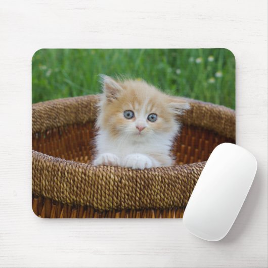 Niedliche Kleintiere | Blue Mit Augen Kitten Mousepad (Mit Mouse)