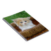 Niedliche Kleintiere | Blue Mit Augen Kitten Notizblock (Rechte Seite)