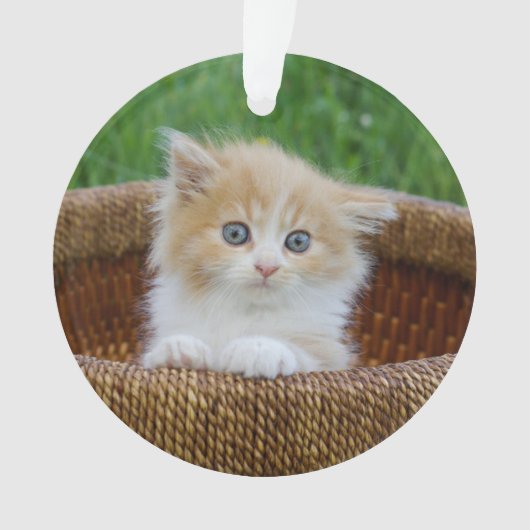 Niedliche Kleintiere | Blue Mit Augen Kitten Ornament (Vorderseite)