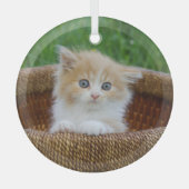 Niedliche Kleintiere | Blue Mit Augen Kitten Ornament Aus Glas (Vorderseite)