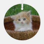 Niedliche Kleintiere | Blue Mit Augen Kitten Ornament Aus Glas (Rückseite)