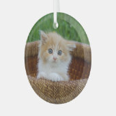 Niedliche Kleintiere | Blue Mit Augen Kitten Ornament Aus Glas (Vorderseite links)