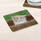 Niedliche Kleintiere | Blue Mit Augen Kitten Rechteckiger Pappuntersetzer (angewinkelt)