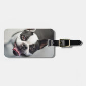 Niedliche Kleintiere | Boston Bulldog Smile Gepäckanhänger (Vorderseite horizontal)
