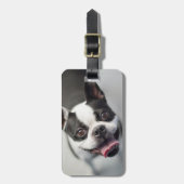 Niedliche Kleintiere | Boston Bulldog Smile Gepäckanhänger (Vorderseite vertikal)