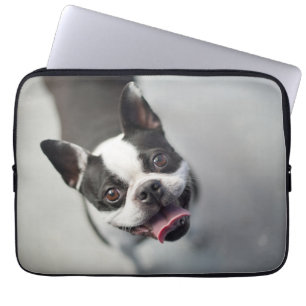 Niedliche Kleintiere   Boston Bulldog Smile Laptopschutzhülle