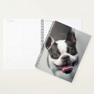 Niedliche Kleintiere Boston Bulldog Smile Planer
