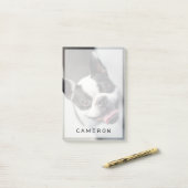 Niedliche Kleintiere | Boston Bulldog Smile Post-it Klebezettel (Auf Schreibtisch)