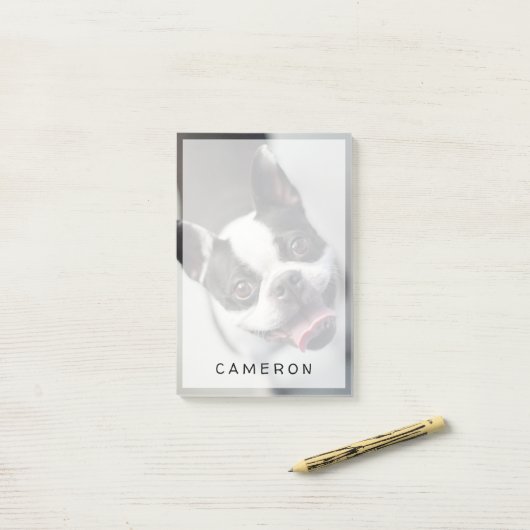 Niedliche Kleintiere | Boston Bulldog Smile Post-it Klebezettel (Auf Schreibtisch)