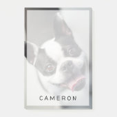 Niedliche Kleintiere | Boston Bulldog Smile Post-it Klebezettel (Vorderseite)