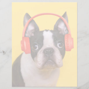 Niedliche Kleintiere Boston Terrier Kopfhörer