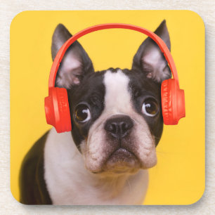 Niedliche Kleintiere Boston Terrier Kopfhörer Getränkeuntersetzer