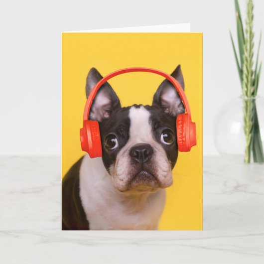 Niedliche Kleintiere | Boston Terrier Kopfhörer Karte (Vorderseite)