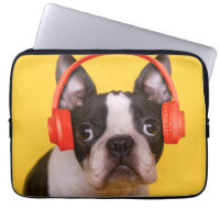 Niedliche Kleintiere | Boston Terrier Kopfhörer