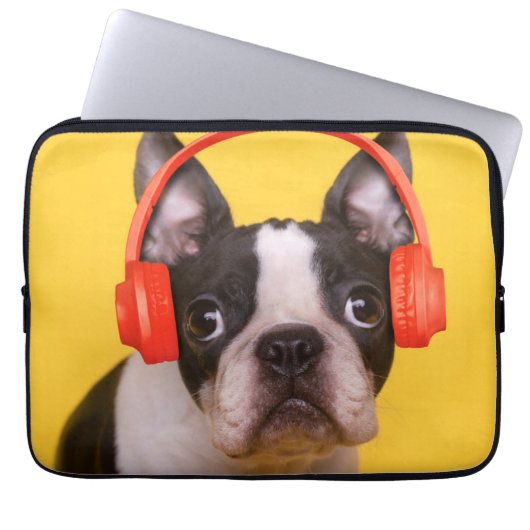 Niedliche Kleintiere | Boston Terrier Kopfhörer Laptopschutzhülle (Vorderseite)