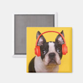 Niedliche Kleintiere | Boston Terrier Kopfhörer Magnet (Vorderseite/Rückseite)