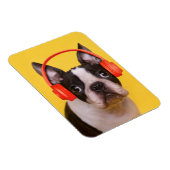 Niedliche Kleintiere | Boston Terrier Kopfhörer Magnet (Rechte Seite)