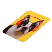 Niedliche Kleintiere | Boston Terrier Kopfhörer Magnet (Linke Seite)
